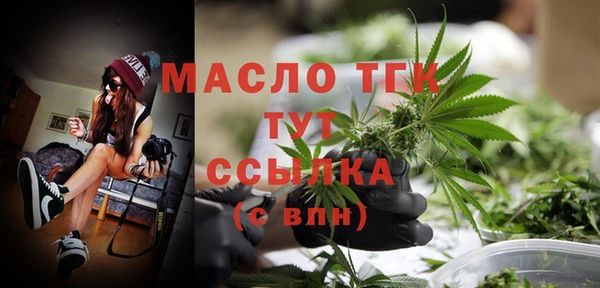 стаф Кодинск