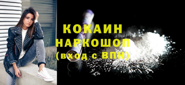 стаф Кодинск