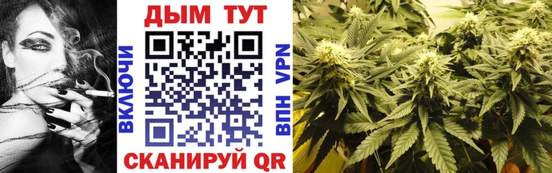 Купить закладки  Свирск  Канабис сатива 